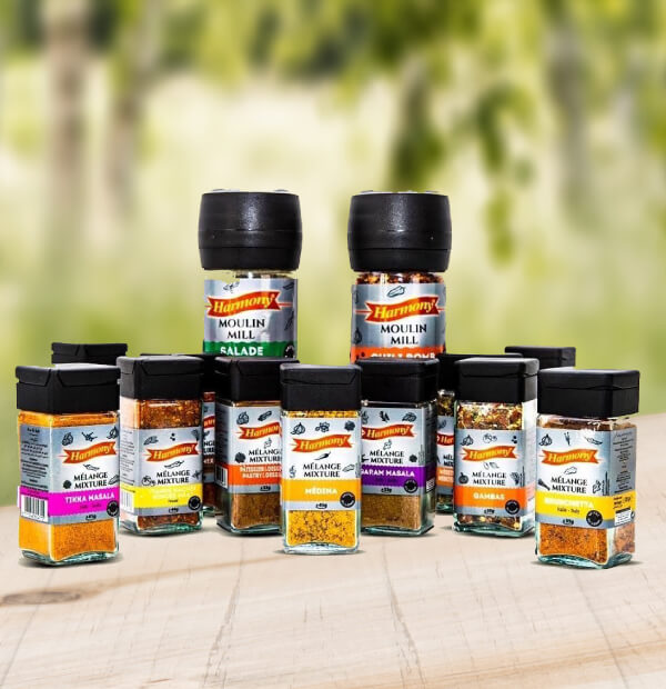 agence design emballage des epices maroc